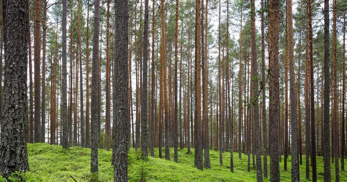 AI教程太火了！普通人如何用AI技能月入8000+